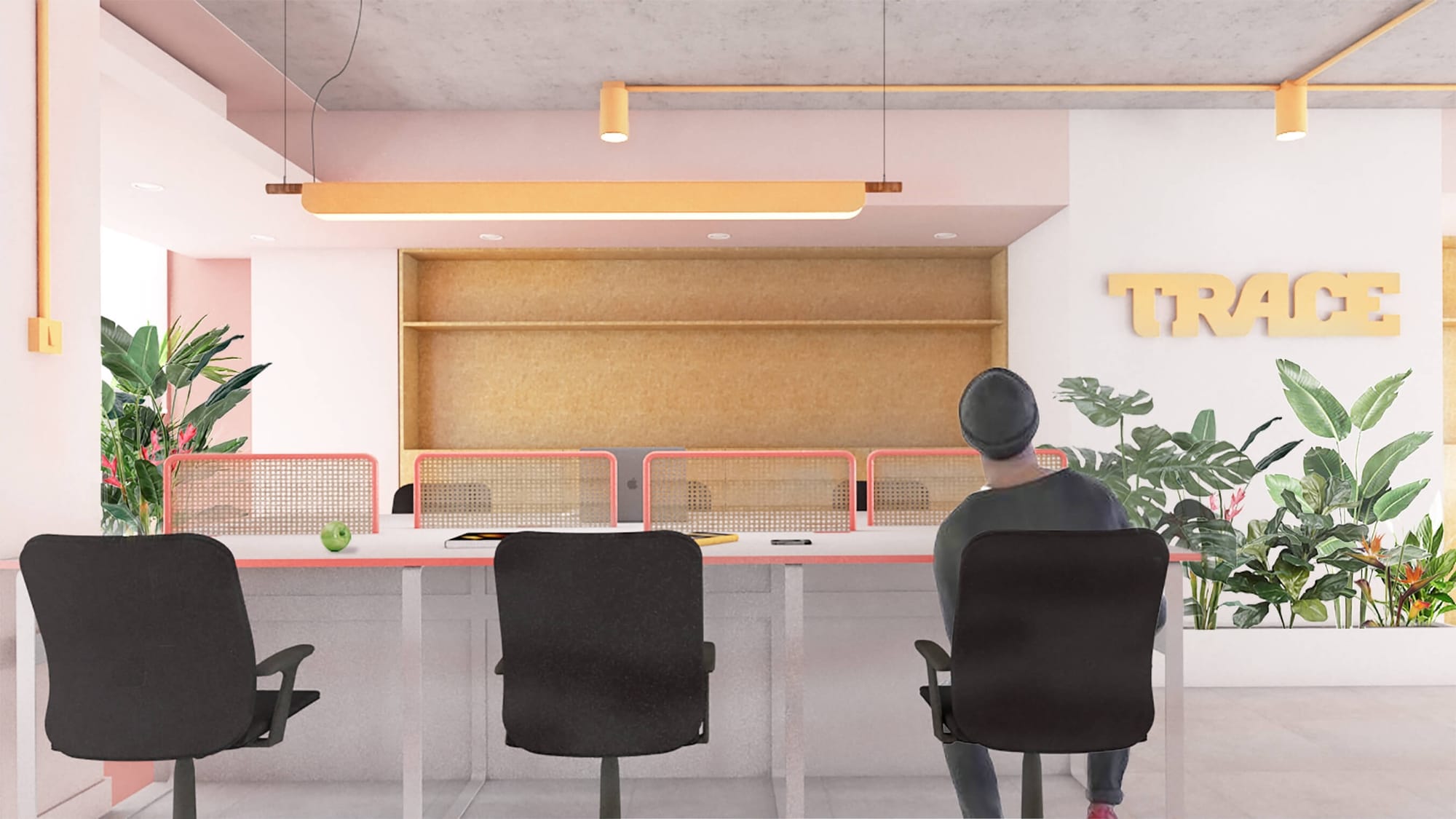 Studio Contra TRACE Offices